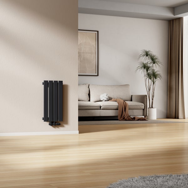 Wohnraum mit schwarzem Heizkörper, Sofa und Dekoration