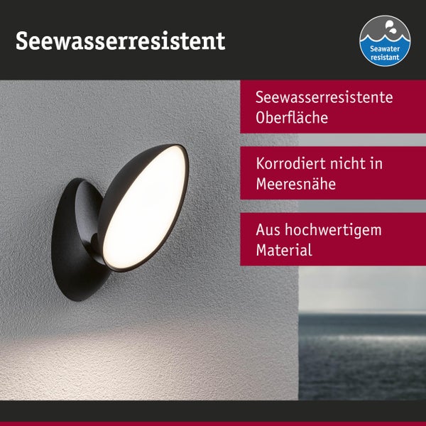 Seawater resistant wall light for outdoor use