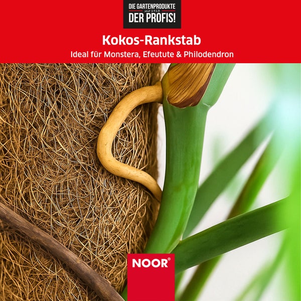 Kokos-Rankstab - Ø 5 cm x 110 cm - verlängerbare Rankhilfe mit Holzstiel - 100 % Naturmaterial - stabile Kletterhilfe für Pflanzen, dekorativ & nachhaltig
