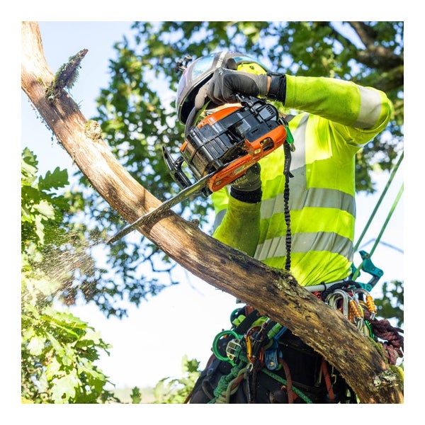 Baumpfleger sägt Ast mit Kettensäge