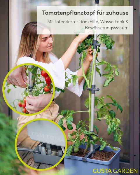 Tomatenpflanztopf mit Rankhilfe, Wassertank und Bewässerungssystem für den Anbau zu Hause