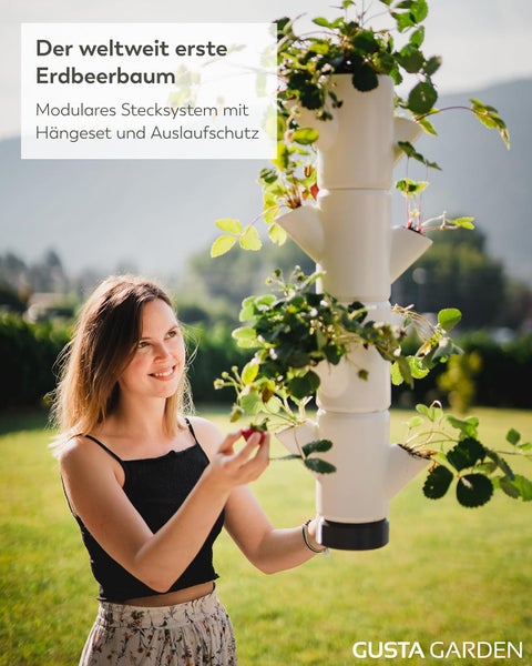 Vertikales modulares Erdbeer-Pflanzsystem mit Erdbeerpflanzen, Person beim Ernten und Gusta Garden Logo.