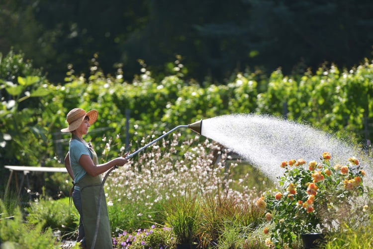 Eine Frau mit Hut bewässert Pflanzen mit einem Bewässerungsstab im Garten.