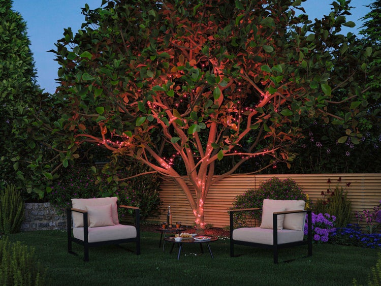 Szene im Garten mit Baum, der mit Lichterketten dekoriert ist, zwei Sesseln und einem kleinen Tisch