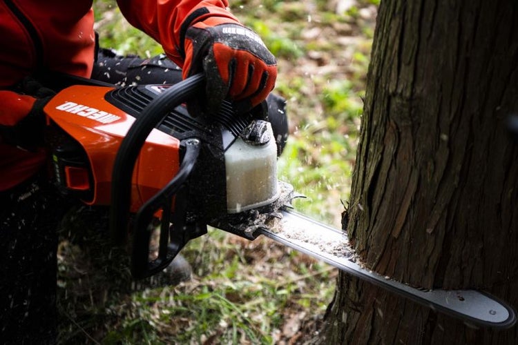 Eine Person sägt mit einer Motorsäge einen Baum.