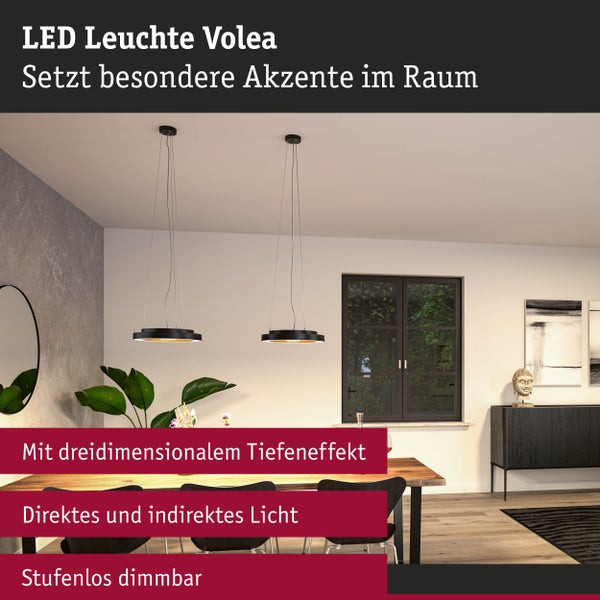 Pendelabhängung Volea Schwarz, Silber