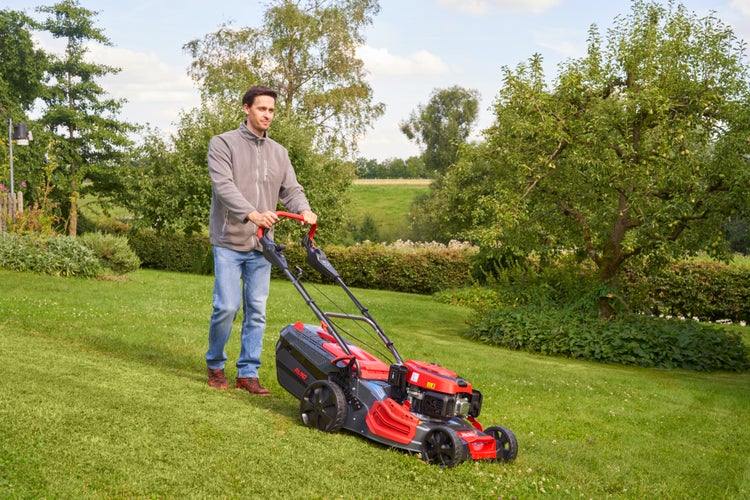 Ein Mann mäht den Rasen mit einem Benzin Rasenmäher von AL-KO in einem Garten.