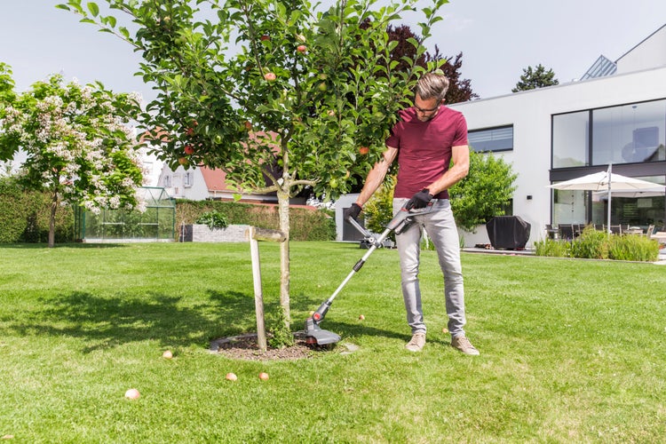 Ein Mann trimmt den Rasen um einen kleinen Apfelbaum in einem Garten mit einem Akku-Rasentrimmer.