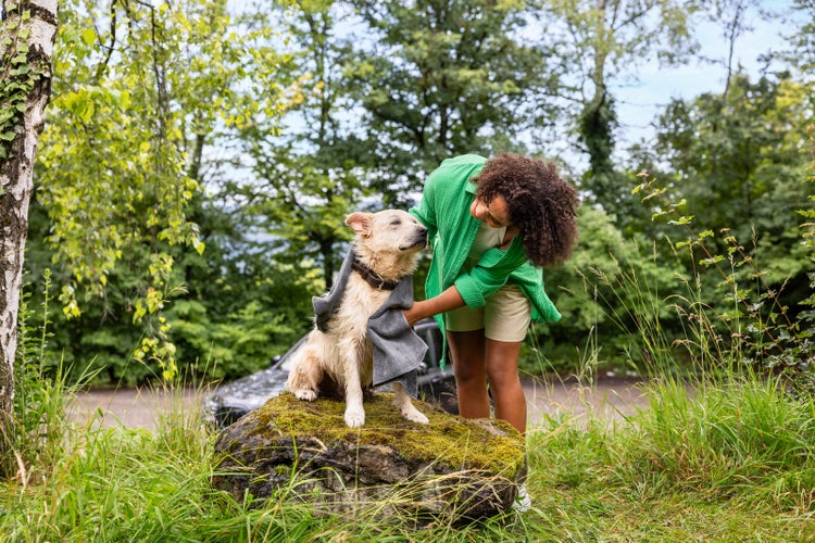 Mobile Outdoor Cleaner OC 4 + Pet Kit