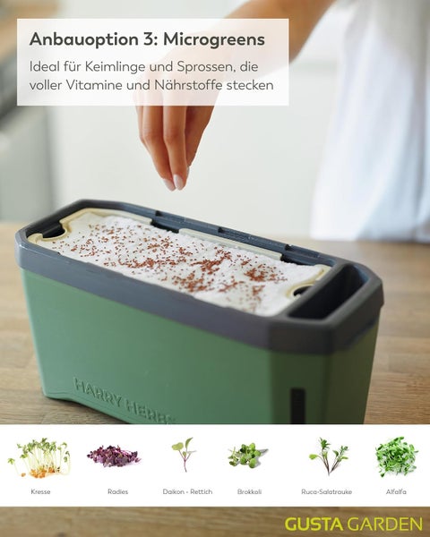 Harry Herbs Microgreens Anzuchtbox mit Kresse, Radies, Daikon Rettich, Brokkoli, Ruca Salatrauke und Alfalfa
