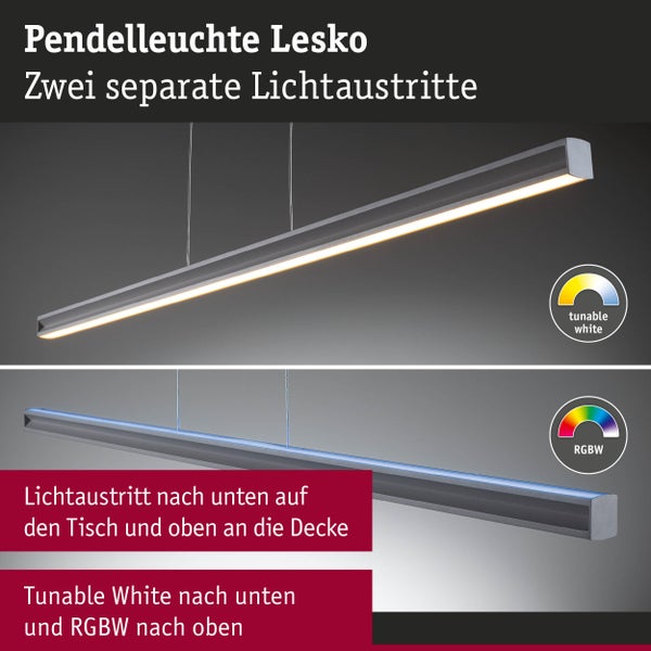 Lesko Pendelleuchte mit zwei Lichtquellen