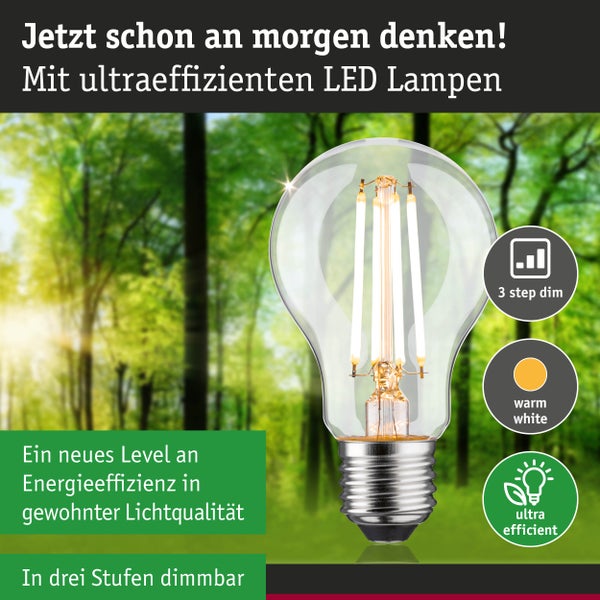 Eco-Line Filament 230V LED Birne E27 Einzelleuchte 1521lm 8,2W 3000K dimmbar Klar