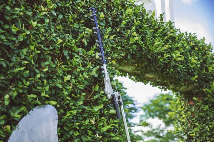Teleskop-Heckenschere beim Schneiden einer Hecke