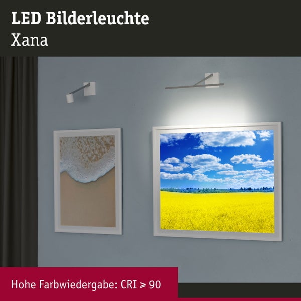LED Bilderleuchte Xana 2700K 420lm 230/24V 5,5W dimmbar Alu gebürstet