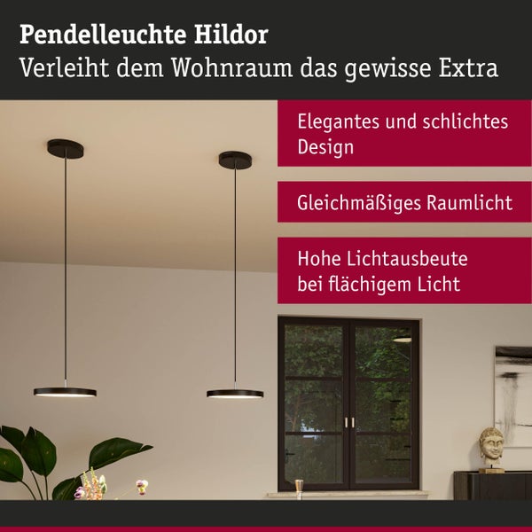 Zwei schwarze Pendelleuchten Hildor mit flachem Design hängen in einem modern eingerichteten Wohnraum mit Fenster und Pflanzen.