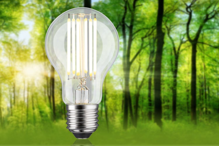 Eco-Line Filament 230V LED Birne E27 Einzelleuchte 1521lm 7,2W 3000K Klar