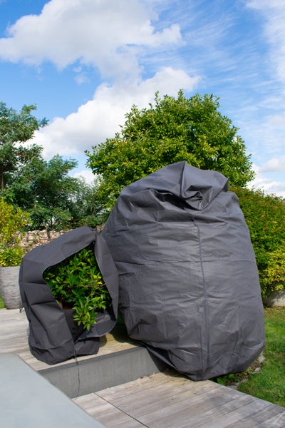 Schutzhaube für Pflanzen im Garten auf einer Terrasse