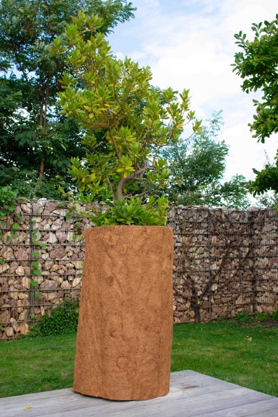 Ein kleiner Baum steht in einem runden Pflanzkübel mit einer Abdeckung aus Kokosfaser im Garten vor einer Gabionenwand.