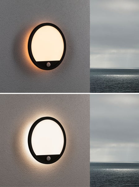 LED Außenpanel Lamina Backlight Dämmerungsgesteuerter Bewegungsmelder (IR) insektenfreundlich IP44 rund 280mm Tunable Warm 14W 1150lm 230V Schwarz Kunststoff