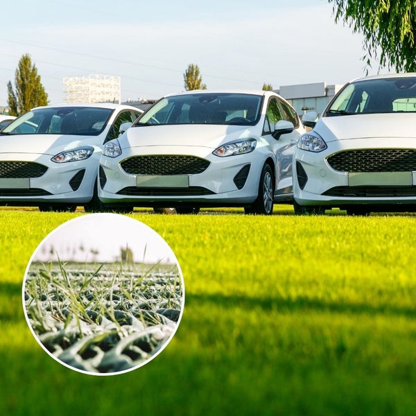 Drei parkende Autos auf einer Rasenwabenbefestigung. Ein Detailbild zeigt die Struktur der Kunststoffgitter für die Bodenbefestigung im Rasen.