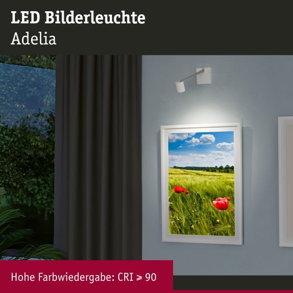 LED Bilderleuchte Adelia 2700K 370lm 230/24V 4,5W dimmbar Alu gebürstet