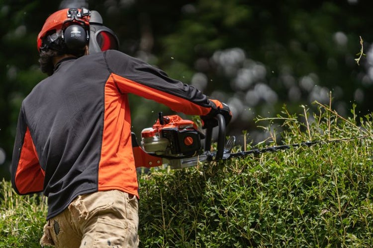 Mann schneidet Hecke mit einer Heckenschere, trägt dabei Schutzkleidung.