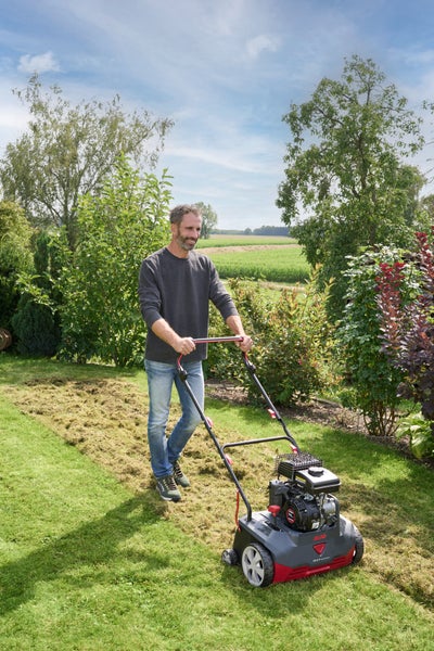 Ein Mann bedient einen AL-KO Benzin-Vertikutierer auf einer Rasenfläche in einem hellen Garten zur Rasenpflege.