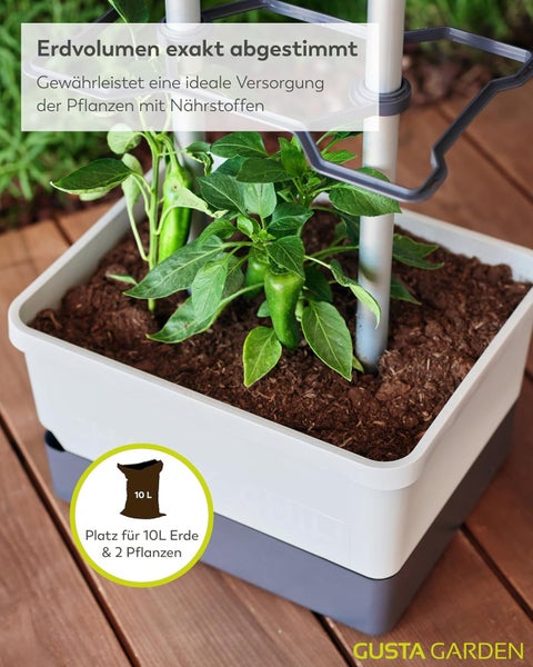 Gusta Garden Pflanzkasten mit Pflanzen und Erdvolumen für ideale Nährstoffversorgung