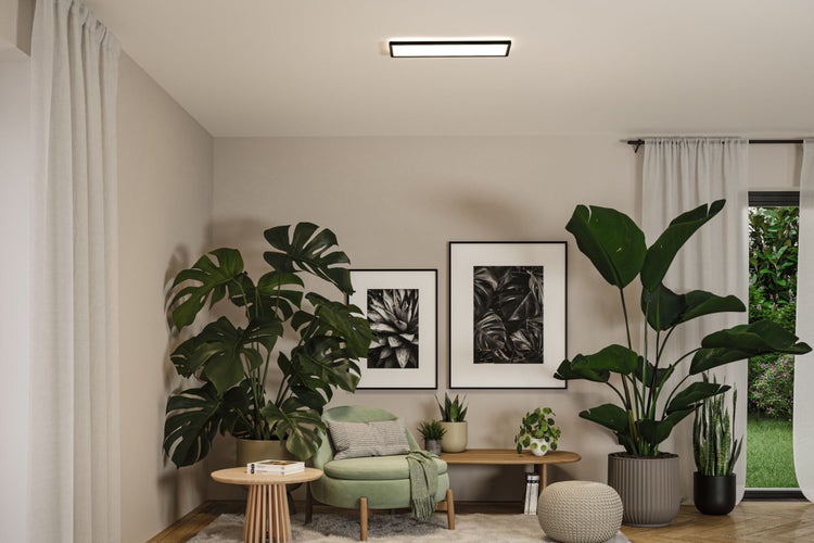 Wohnzimmer mit Zimmerpflanzen, Sessel und Deckenleuchte