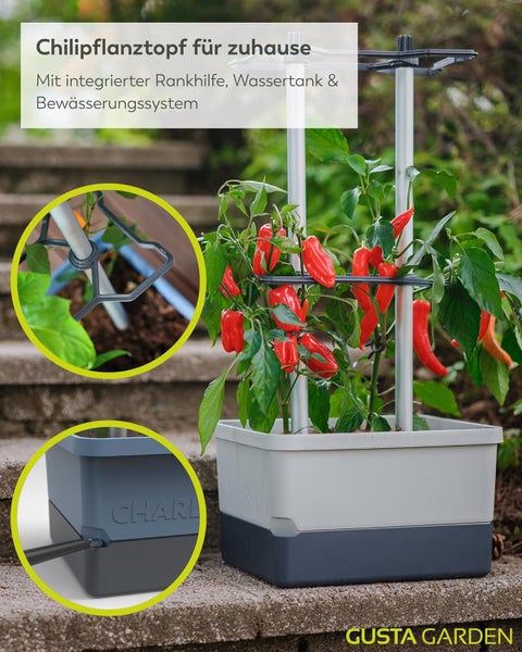 Chilipflanztopf mit Rankhilfe, Wassertank und Bewässerungssystem für den Innenbereich
