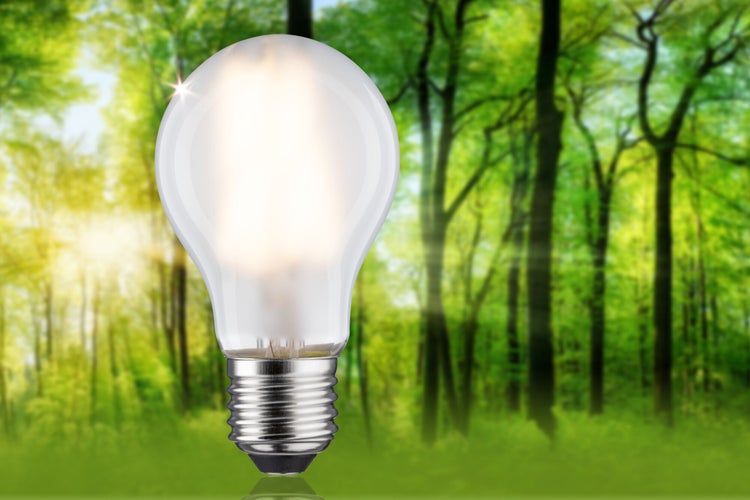 Eco-Line Filament 230V LED Birne E27 Einzelleuchte 1521lm 7,2W 3000K Matt