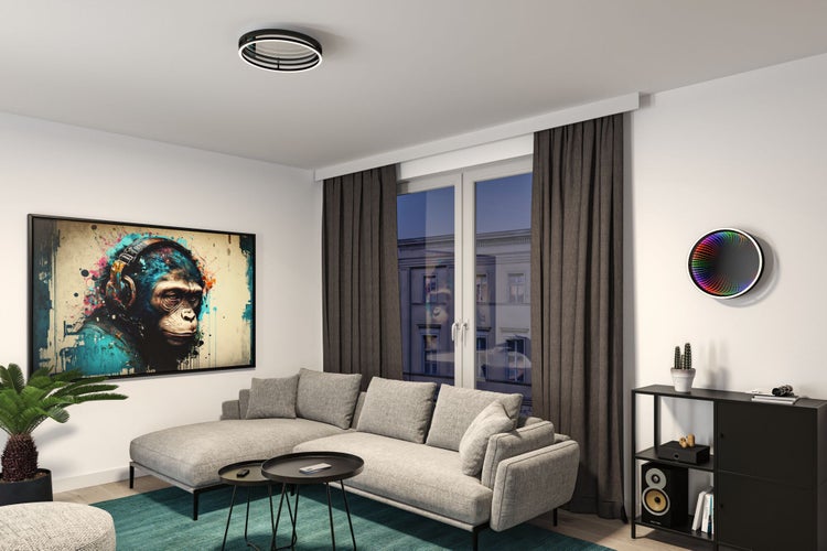 Fernbedienung für Leuchten mit Schaltern für Ein und Aus, Dimmfunktion, Weißlichtsteuerung und RGB Farbmodus