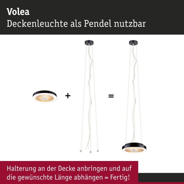 Pendelabhängung Volea Schwarz, Silber