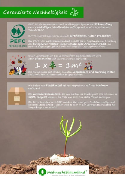 Informationen zur Nachhaltigkeit von Weihnachtsbäumen, einschliesslich PEFC Siegel, Anpflanzung von Blumenwiesen und reduzierter Plastikverpackung.