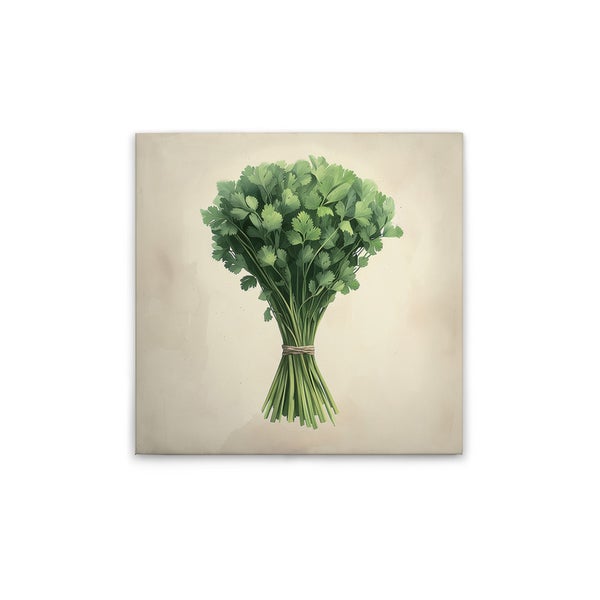 Quadratisches Bild eines Bunds Koriander, zusammengebunden