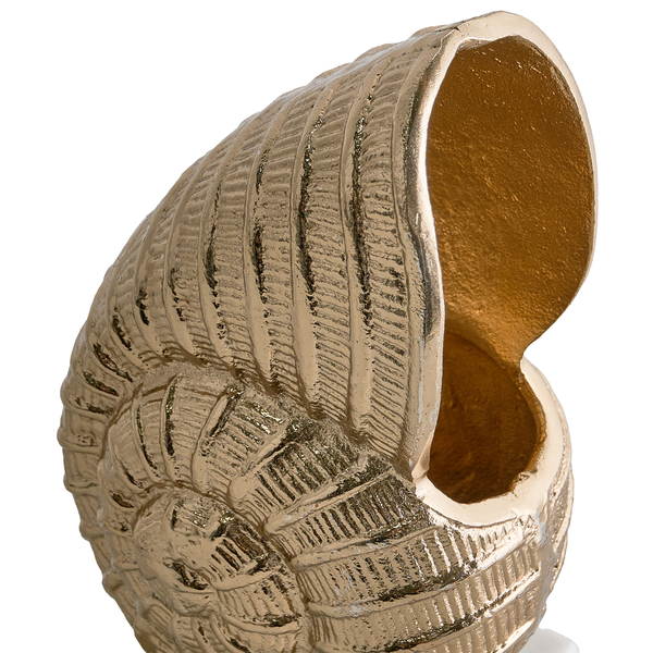 Dekorative goldene Muschel für Wohnraumdekoration