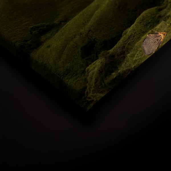 Wandbild auf Leinwand mit Landschaftsmotiv, Nahaufnahme der Ecke
