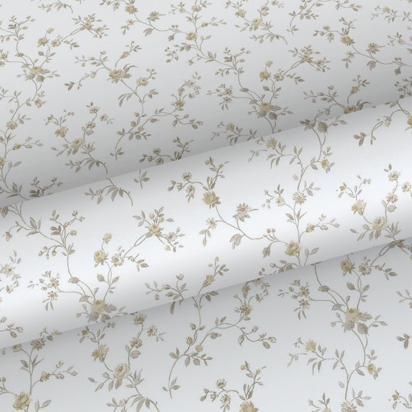 Rollo am Fenster mit Blick ins Freie