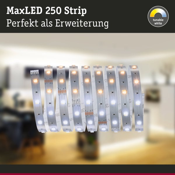 EU Energielabel der Klasse D für Paulmann Modell 50000150865 mit einem Verbrauch von 5 Kilowattstunden pro 1000 Stunden.