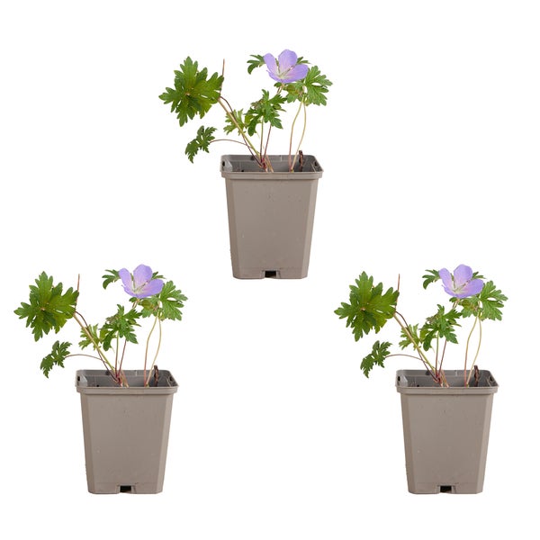 Blick in den Innenraum eines Pelletgrills mit Grillpellets