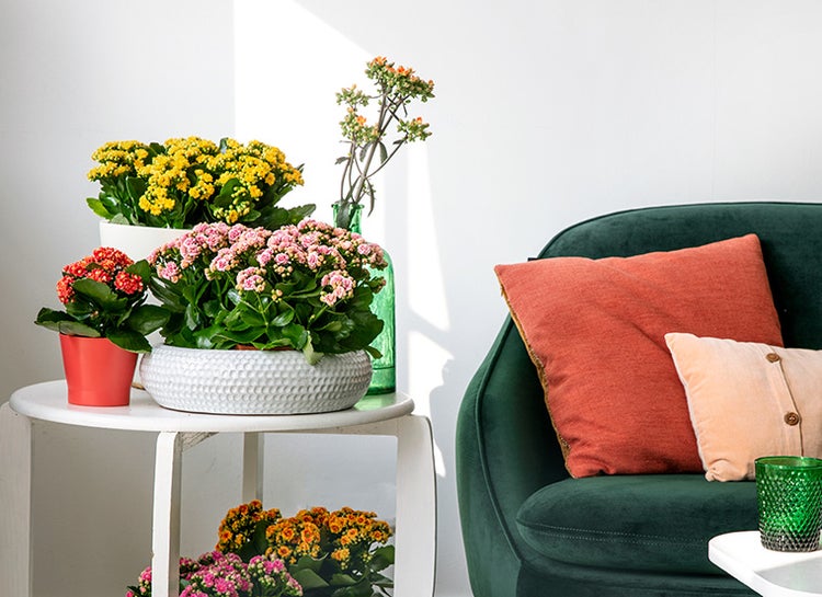 Geschlossenes graues Gartentor vor einem Haus