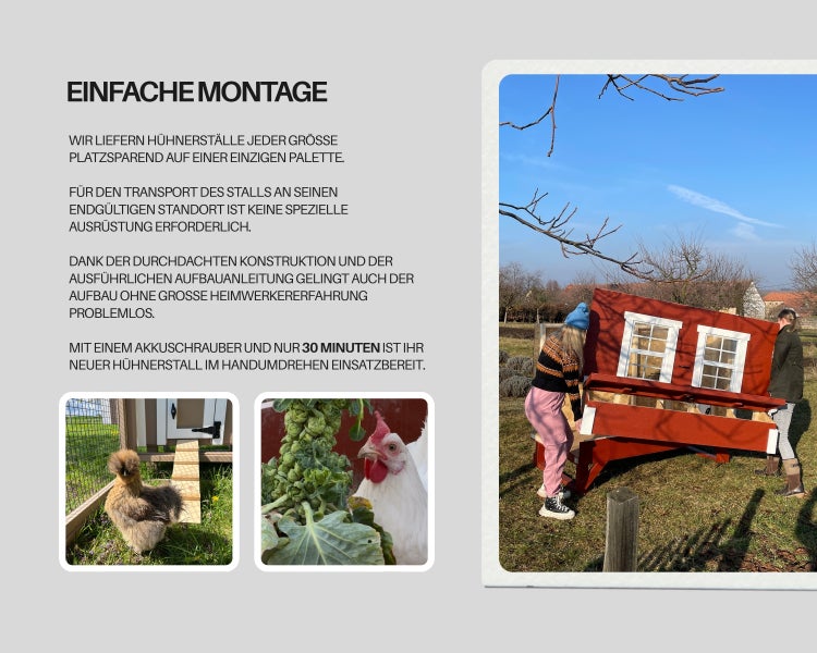 Extra große Hühnerstall EZ Chicken Home  3,78 m²  249 x 152 x 184 cm Rot hergestellt in EU