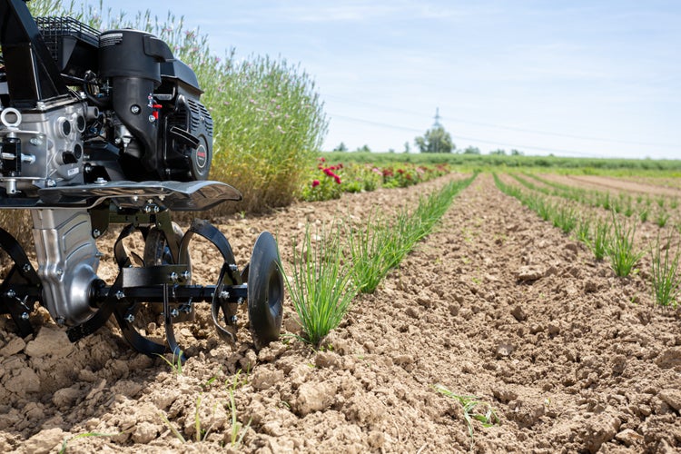 AL-KO Motorhacke bei der Arbeit in einem Garten auf einem Feld mit aufgebrochenem Boden und Pflanzen im Hintergrund.