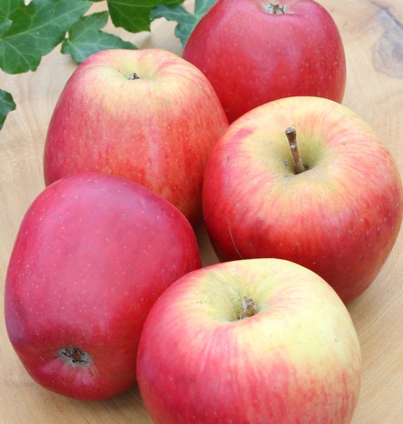 Fünf rote Äpfel auf einer Holzoberfläche