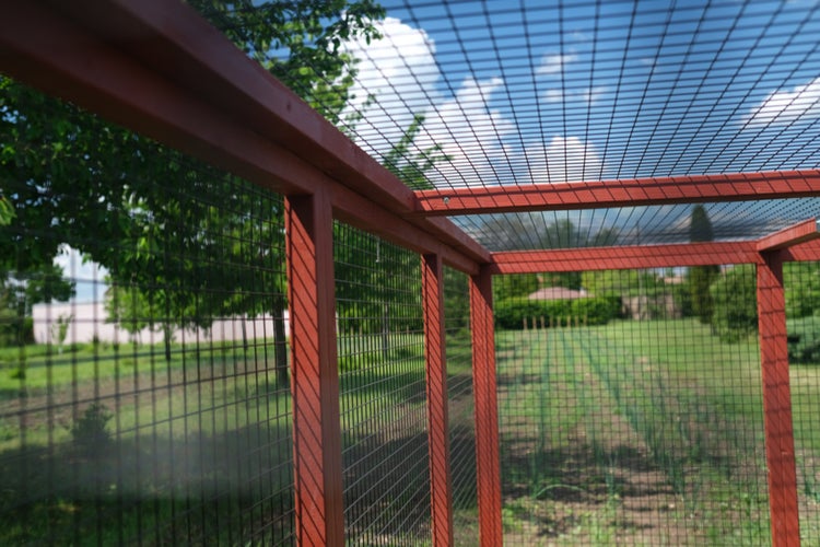 Hühnerauslauf Mitte EZ Chicken Home Rot  5,84m²  208 x 300 x 154 cm hergestellt in EU