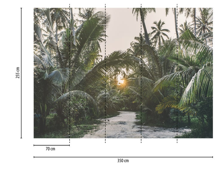 Fototapete mit Motiv tropischer Palmen und einem Waldweg im Sonnenlicht, 350 mal 255 Zentimeter.