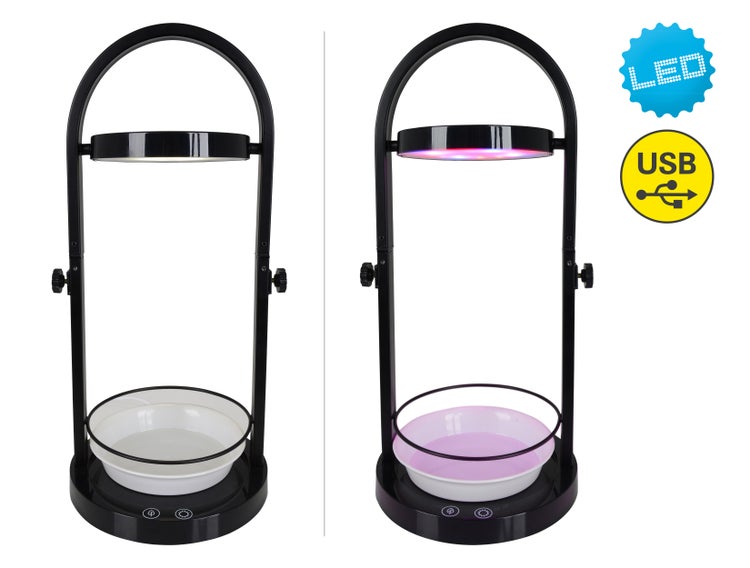 LED Pflanzen-Tischleuchte 53,5 cm hoch, aus Metall und Kunststoff in Schwarz, mit integrierter LED