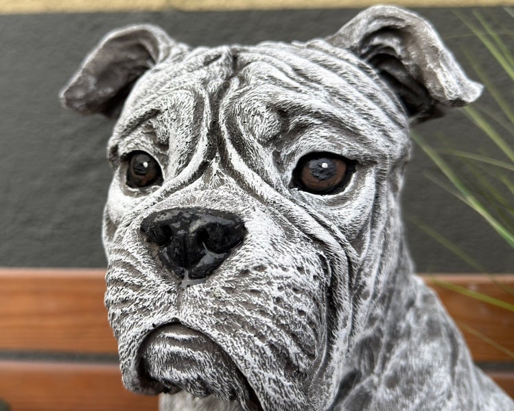 Gartenfigur Hund Boxer aus Steinguss, Detailaufnahme des Kopfes mit Falten.