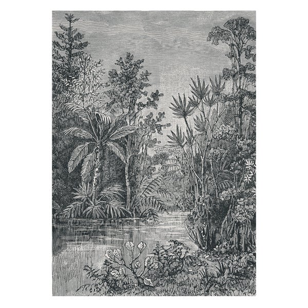 Dschungel-Skizze - Fototapete - 280x200 cm