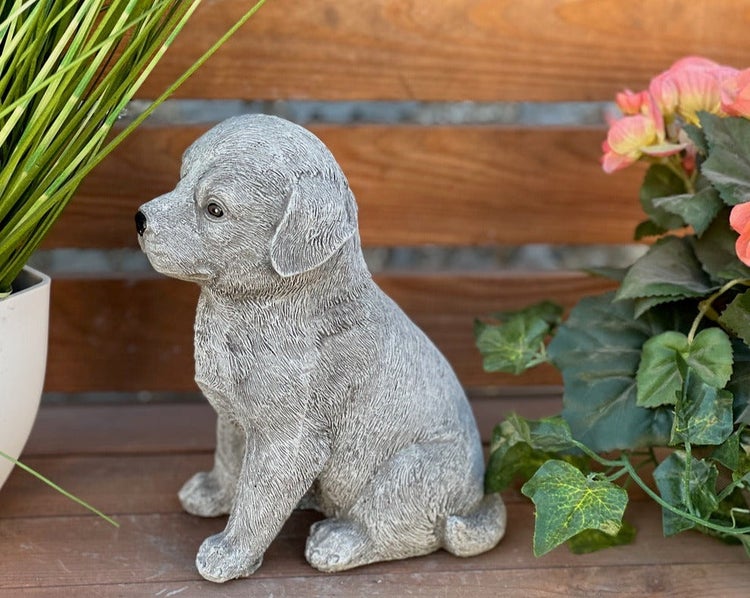 Sitzende Hundefigur aus Stein für den Garten, detailreiche Welpen-Skulptur auf einer Holzbank neben Pflanzen.